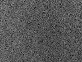 (1102 NARCİSSUS) Coante Tezgah Fiyatı: 6.000 TL