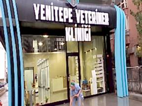 Komple İç Dekorasyonu Yaptığımız Veteriner Hastanesi